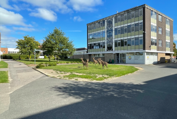 Parkstone Grammar School